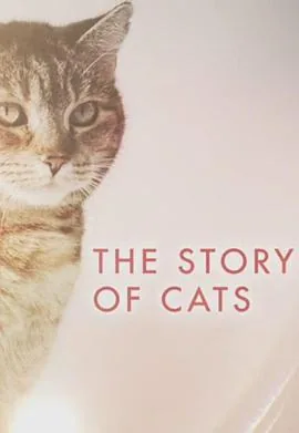 猫科动物的图片大全
