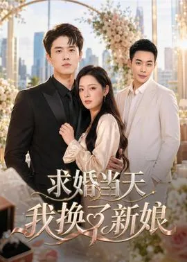 结婚当天我换了新郎小说