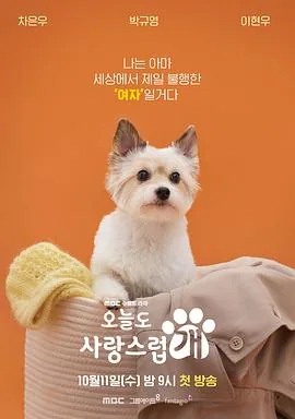 今天也很可爱的狗 电视剧 在线观看