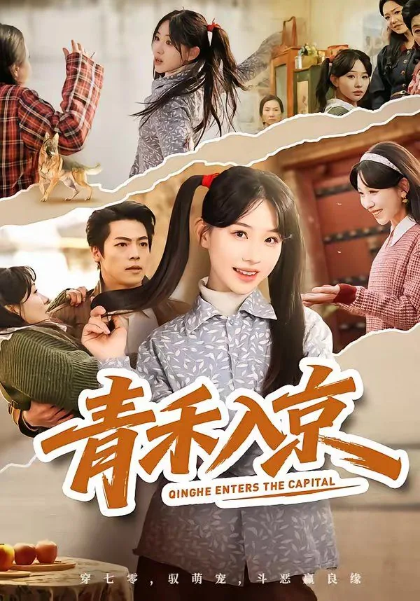 青禾知乎