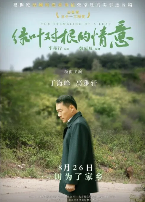 绿叶对根的情意毛阿敏MV中国音乐电视