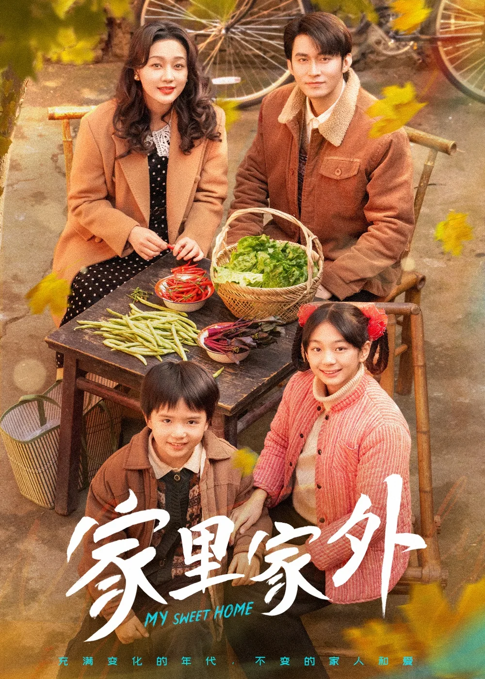 家里家外第一季短剧完整版