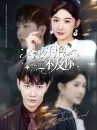 今夜月色很美歌词