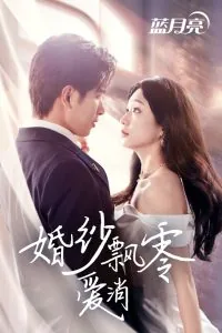 婚纱飘零爱消弭短剧免费观看全部
