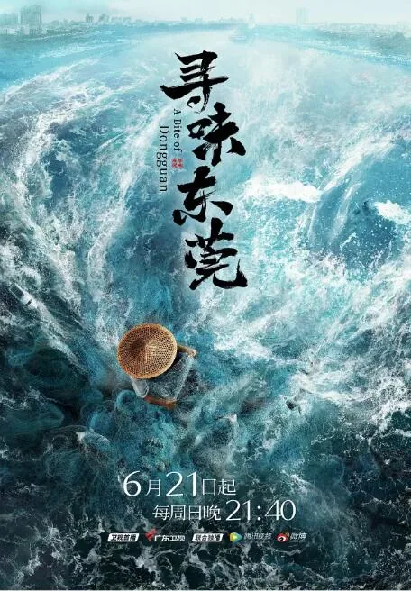 寻味东莞豆瓣评分