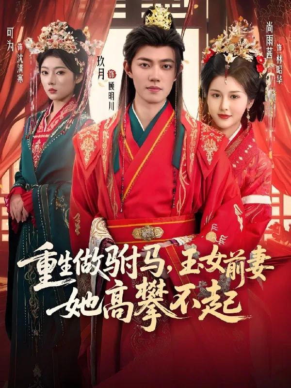 重生做驸马,玉女前妻她高攀不起免费阅读