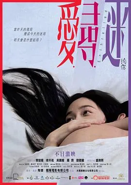 爱寻迷电影免费完整版