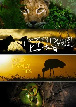他们的婚姻英文