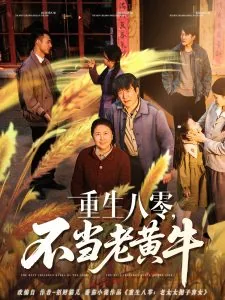 重生八零不作圣母