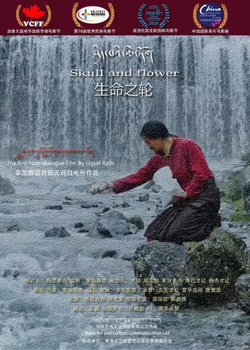 生命之轮工具在哪下载