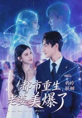 都市重生,我的联姻老婆美爆了类似小说