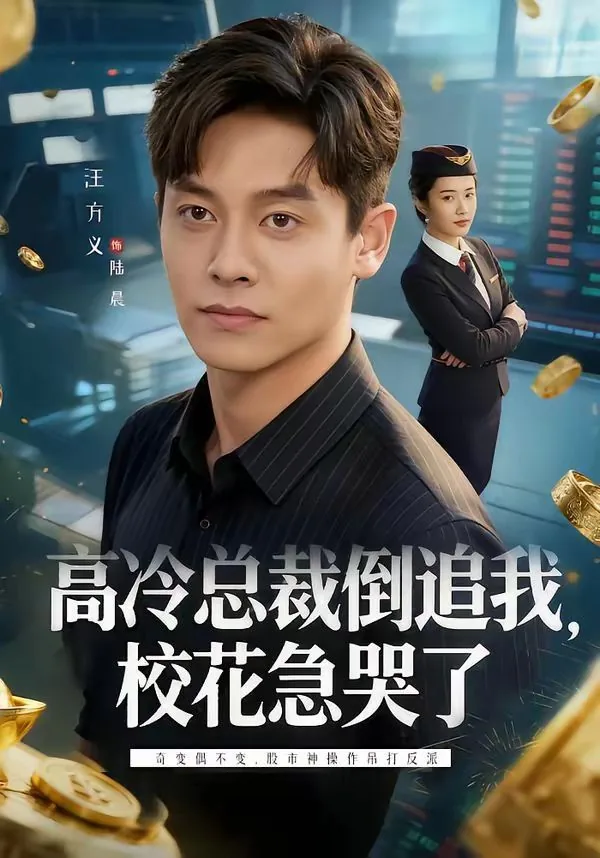 高冷总裁追妻路
