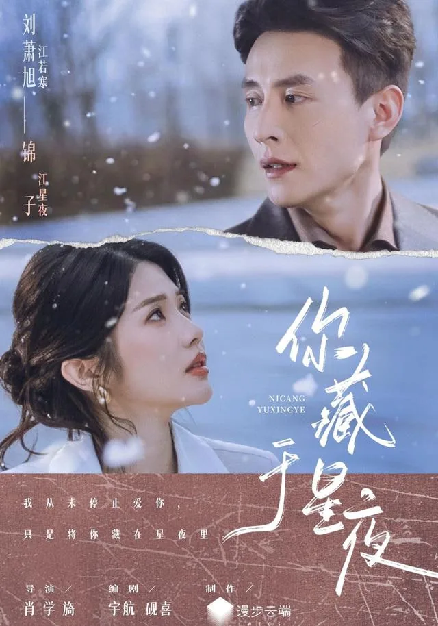 你藏于星夜小说名字叫什么