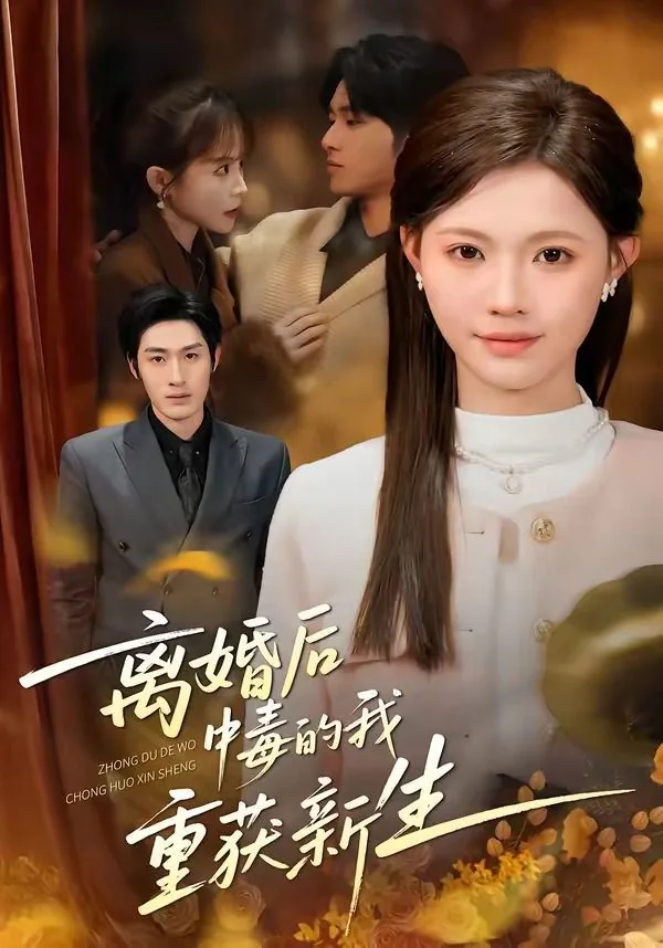 离婚后的你