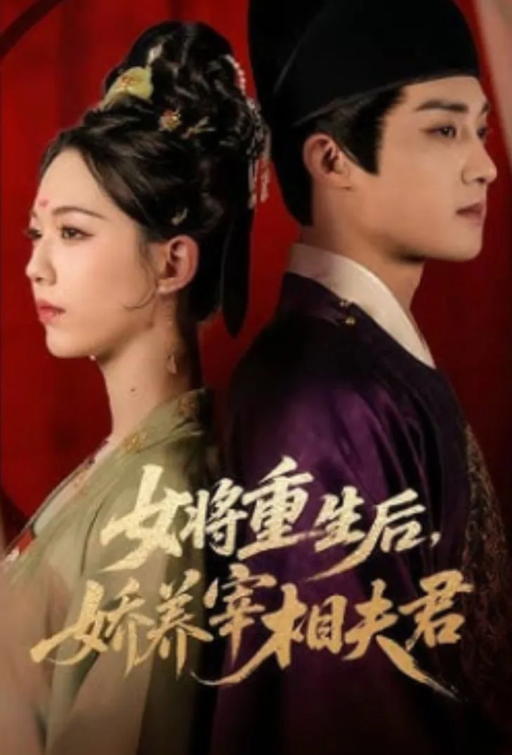 女将军和她的夫君偶像剧