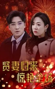 贤妻归来下载