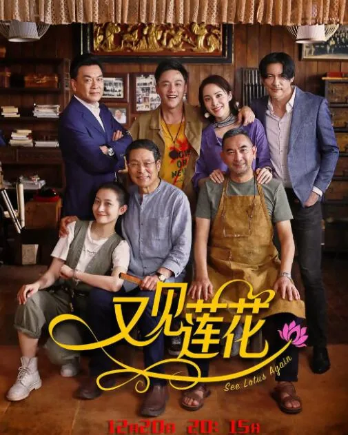 又见莲花开 电视剧