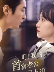 叮我的首富老公已上线小说
