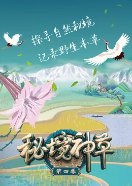 秘境神草 第四季百度百科