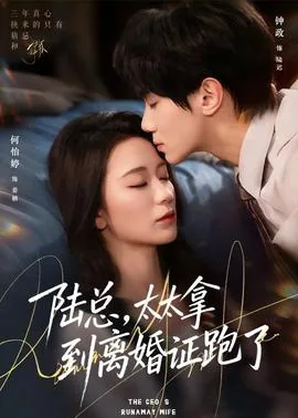 陆总太太拿到离婚证就跑了