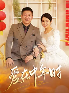 爱在中年时短剧男主