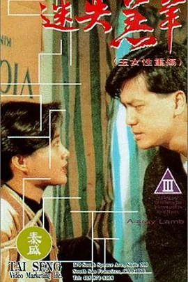 玉女性重伤粤语电影