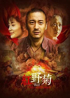 红野菊电视剧演员表
