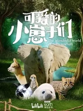 可爱的小崽子们 下载