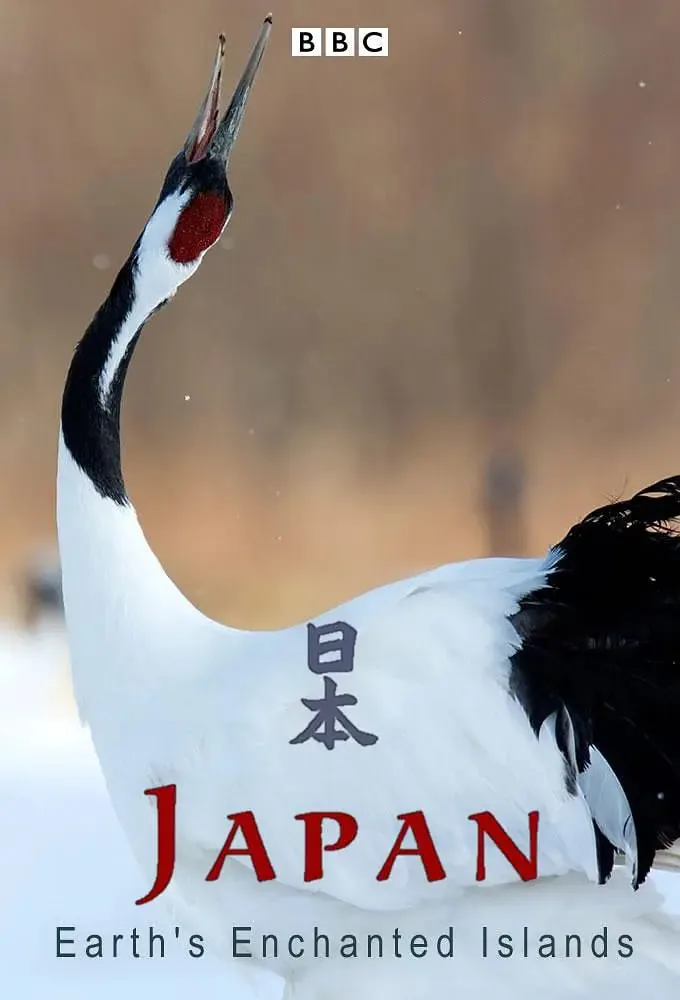 狂野飙车中国vs日本