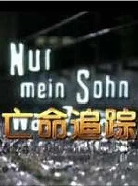 亡命追杀在线观看