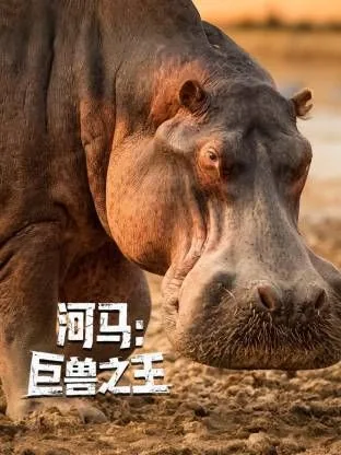 河马:巨兽之王百度百科