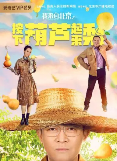 我来自北京之葫芦梨电视剧