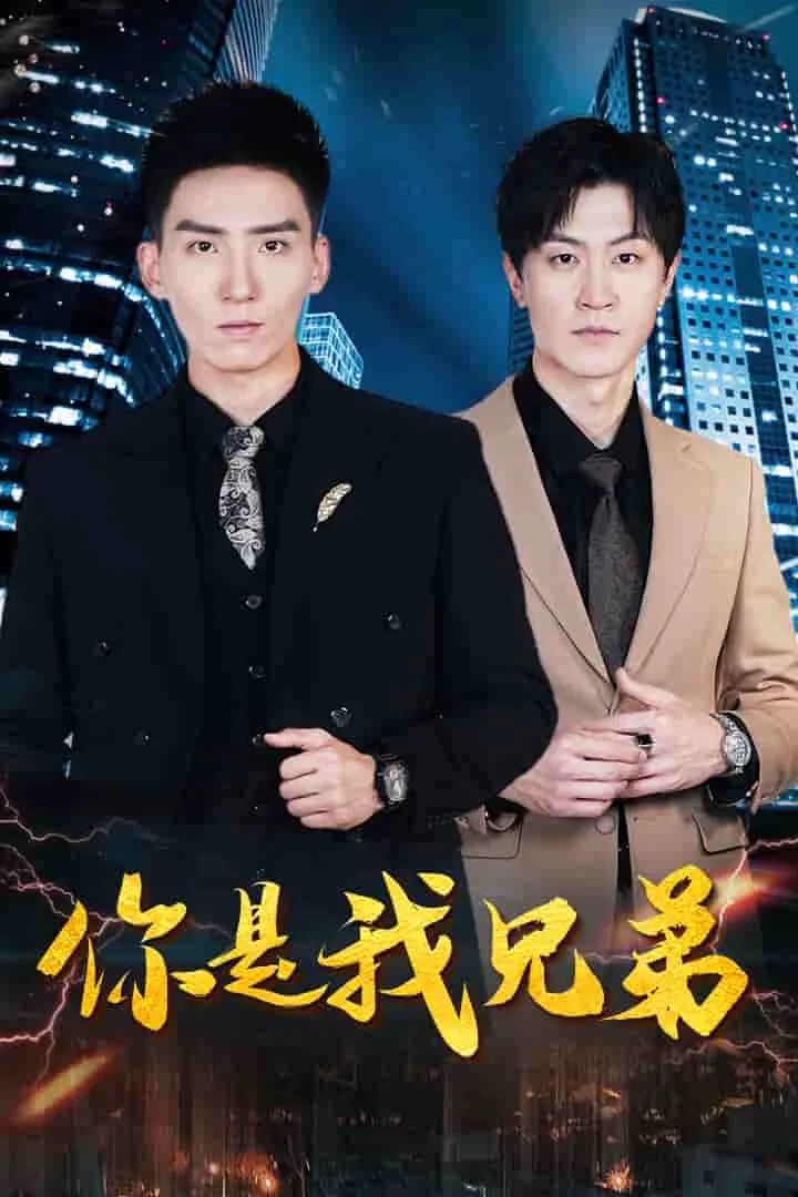 你是我兄弟9集