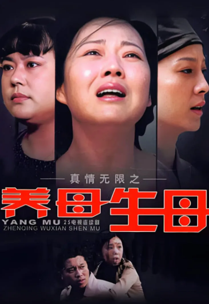真情无限之养母生母电视剧剧情介绍