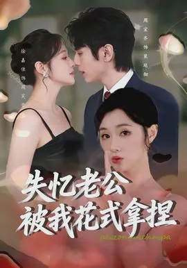 失忆老公 小说