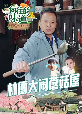向往的向往的生活