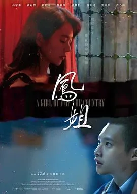 凤姐是什么电视剧