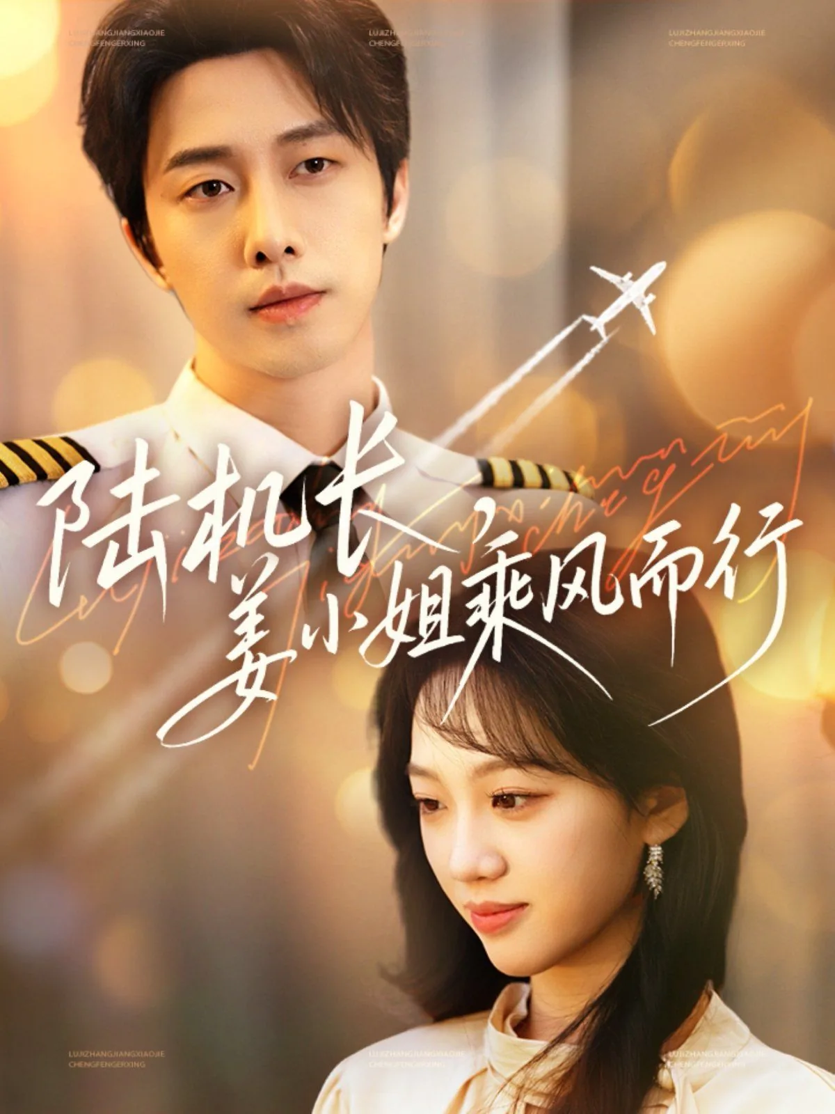 陆机长姜小姐乘风而行剧情介绍