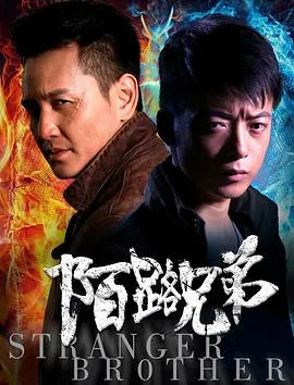陌路兄弟电视剧免费观看