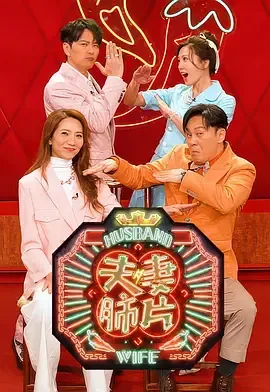 夫妻肺片调料汁哪个品牌好