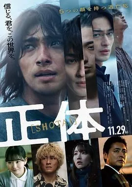 真实身份 正体的小说