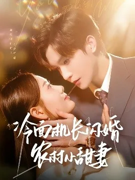 冷面机长闪婚农村小甜妻,免费观看全集