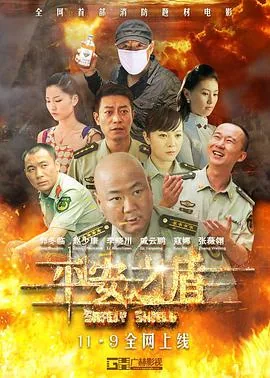 平安盾是什么东西