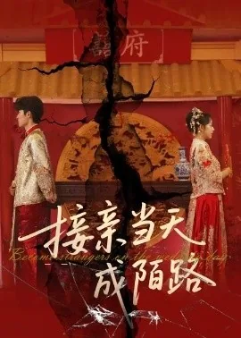 接亲当天成陌路短视频