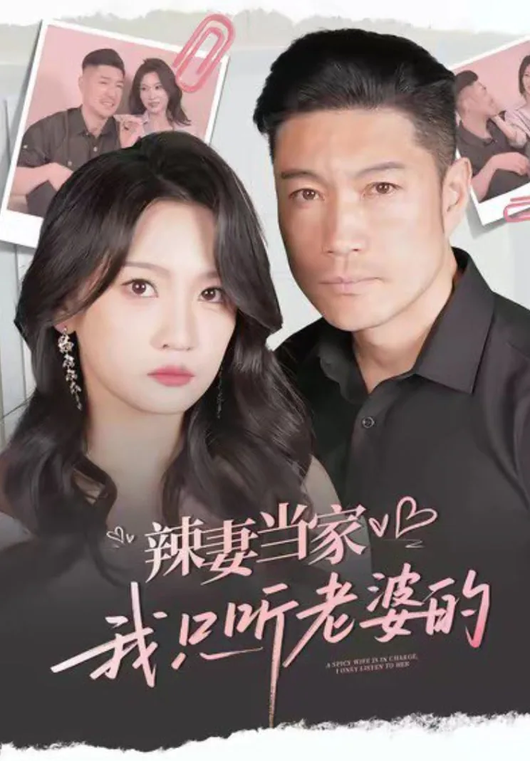 辣妻当家周晋南