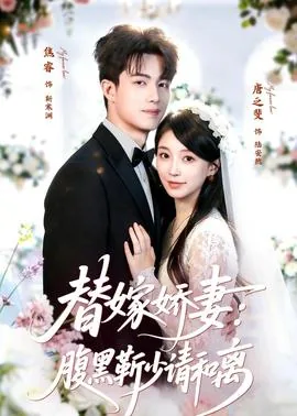 替嫁娇妻冷静凌少腹黑宠