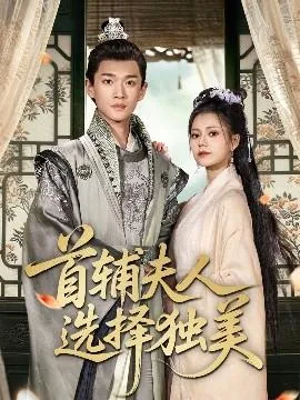 首辅夫人选择独美演员表