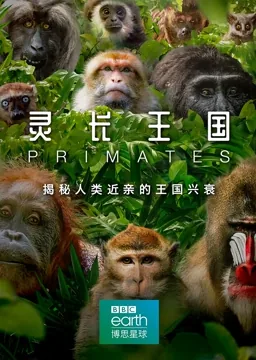 灵长王国 纪录片
