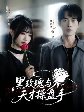 黑玫瑰与天才操盘手演员表