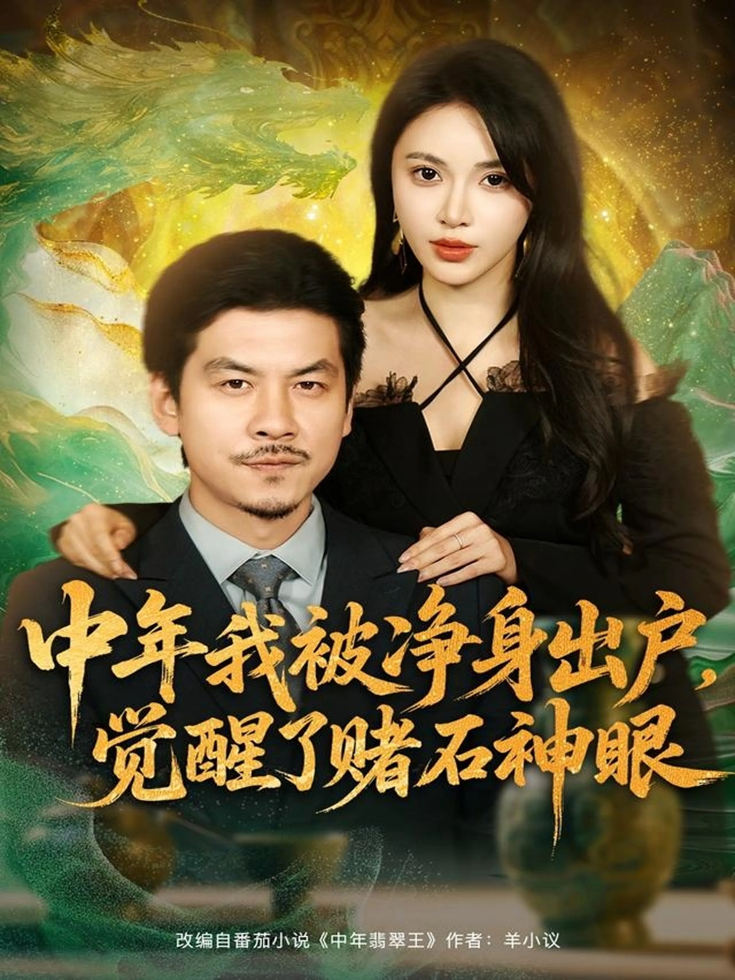 中年我被净身出户,觉醒了赌石神眼演员表